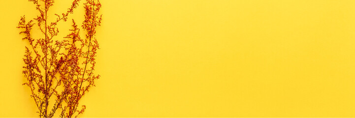Yellow blank background with space for text. Copy space. Top view. Minimal composition with red dried grass decoration. Panoramic concept real photo
