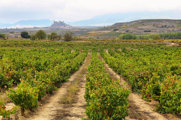 Fototapeta na wymiar San Vicente de la Sonsierra, La Rioja, Spain