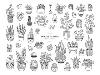 House plants hand drawn illustration set