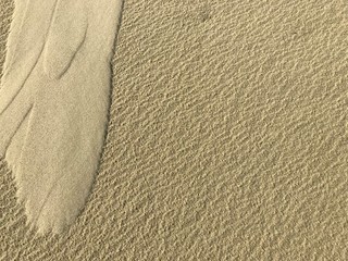 Fototapeta na wymiar Sand dunes on Curonian Spit