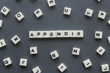 Appendix word made of square letter word on grey background.