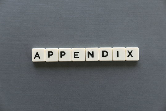 Appendix word made of square letter word on grey background.