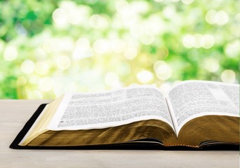 Open Holy bible book on light background