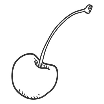 Vector Single Sketch Cherry