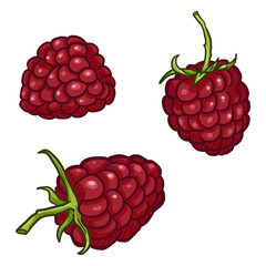 Vector Set of Cartoon Raspberry