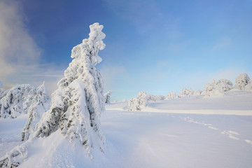 auf dem Berggipfel im Winter
