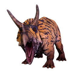 3D Rendering Dinosaur Triceratops  on White