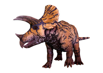 3D Rendering Dinosaur Triceratops  on White © photosvac