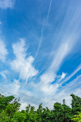 sky with rarely cloud in line shape.