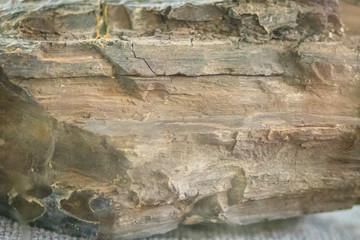 Lignite or brown coal specimen. Lignite is a soft brown combustible sedimentary rock formed from naturally compressed peat. It is lowest rank of coal due to its relatively low heat content.