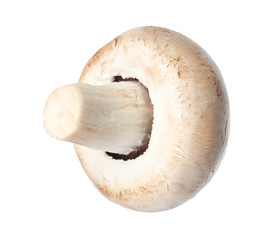 Fototapeta premium Fresh champignon mushroom isolated on white. Healthy food