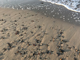 Soft wave over sandy beach 