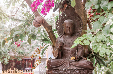 Buddha Temple in Sri Lanka