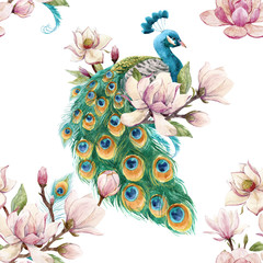Watercolor peacock pattern
