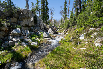 Iron Creek along the Sawtooth Lake trail in Idaho