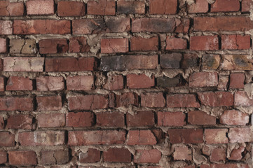 Fototapeta premium old bare brick wall with red bricks close up