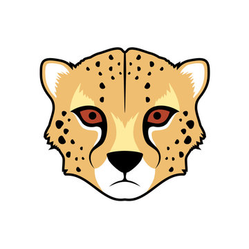 gepard face