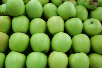 Green fresh apples in a row