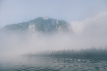views of forest in the mountain among fog in border of the lake