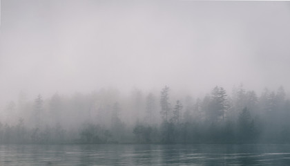 Fototapeta na wymiar views of forest among fog in border of the lake with mysterious trees