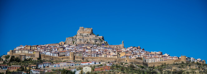 Morella