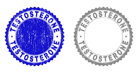 Grunge TESTOSTERONE stamp seals isolated on a white background. Rosette seals with grunge texture in blue and grey colors. Vector rubber stamp imprint of TESTOSTERONE title inside round rosette.