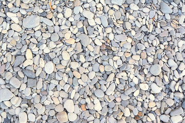 sea stone