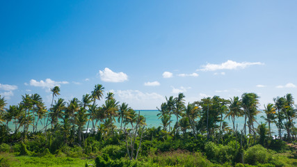 View of the beach from Punta Tuna Wetlands Nature Reserve - Puerto Rico - USA