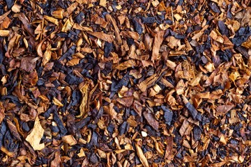 slices tobacco background