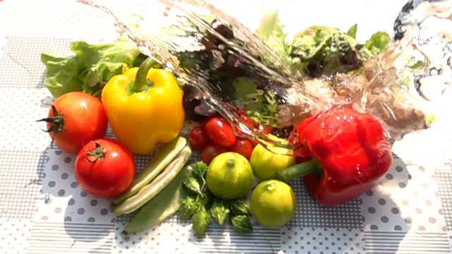 Pouring fresh water to the pile of mixed vegetables on the table in Slow Motion