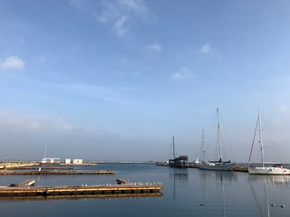 boats in the harbor