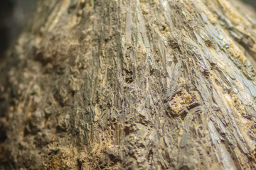 Stibnite fibrous habit rock specimen from mining and quarrying industries. Stibnite is a sulfide mineral with the formula Sb2S3 and it is the most important source for the metalloid antimony.