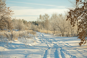 Beautiful winter landscape