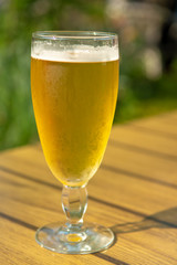 One cold light unfiltered beer in glass served on sunny outdoor terrace in garden
