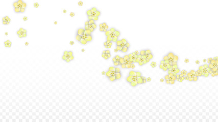 Vector Realistic Yellow Flowers Falling on Transparent Background.  Spring Romantic Flowers Illustration. Flying Petals. Sakura Spa Design. Blossom Confetti. Design Elements for Wedding Decoration.