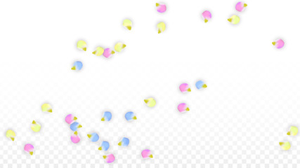 Vector Realistic Colorful Petals Falling on Transparent Background.  Spring Romantic Flowers Illustration. Flying Petals. Sakura Spa Design. Blossom Confetti. Design Elements for Wedding Decoration.
