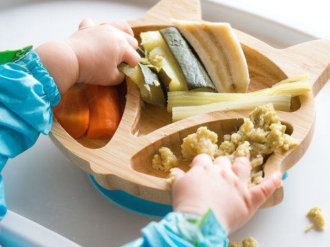 Baby Eating By Hands, Baby Eating Organic Bio Vegetables With BLW Method, Baby Led Weaning. Happy Vegetarian Kid Eating Lunch. Toddler Eat Himself, Self-feeding. Infant Baby Eating. 