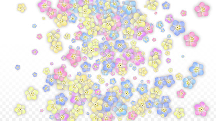 Colorful Vector Realistic Petals Falling on Transparent Background.  Spring Romantic Flowers Illustration. Flying Petals. Sakura Spa Design. Blossom Confetti. Design Elements for Wedding Decoration.
