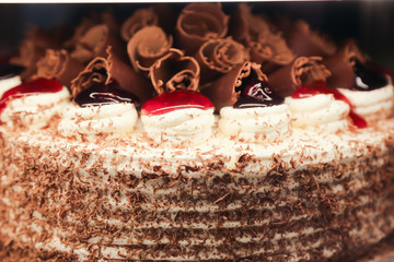 fresh black forest cake with chocolate and cherries and cream