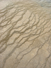 Mammoth Hot Springs in Yellowstone