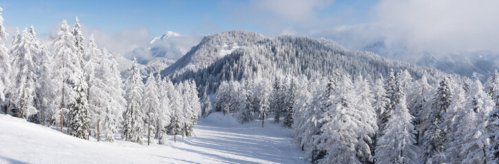 Fototapeta na wymiar Bergpanorama im Winter Wurzeralm - Österreich