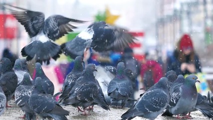 Flock of birds pigeons, flying over crowd of people in winter city. Slow motion.