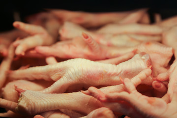 raw meat chicken legs