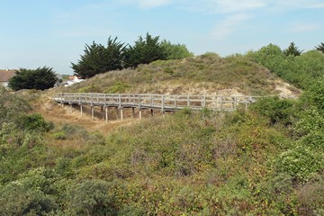 Fototapeta na wymiar Pas de Calais, dunes de Merlimont 