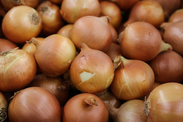 fresh onions
