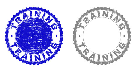 Grunge TRAINING stamp seals isolated on a white background. Rosette seals with distress texture in blue and grey colors. Vector rubber stamp imitation of TRAINING title inside round rosette.