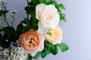 Roses for romantic Valentines Festival