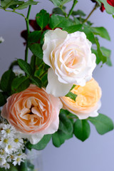 Roses for romantic Valentines Festival