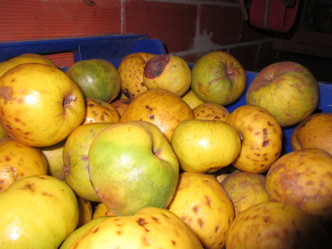 Manzanas