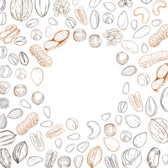 Vector background with hand drawn nuts. Sketch  illustration.